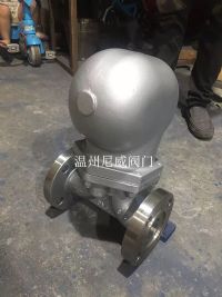 杠杆式疏水閥（fá）